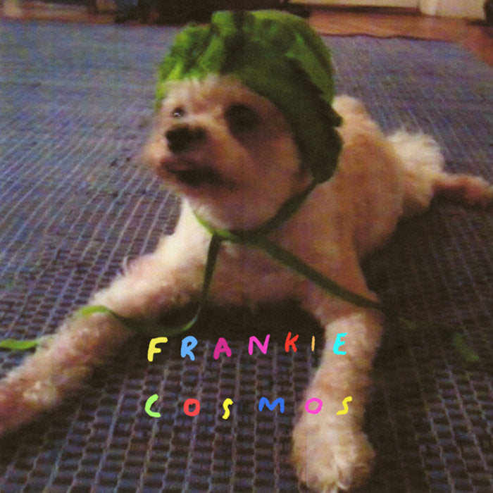 Frankie Cosmos - Zentropy limited edition vinyl