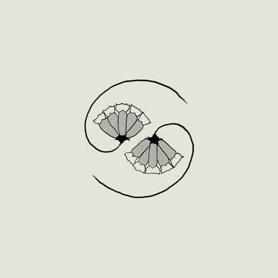 Godspeed You! Black Emperor - G_d’s Pee AT STATE’S END! vinyl