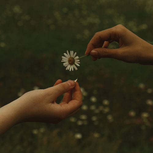 Goldmund - The Time It Takes limited edition vinyl