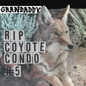 Grandaddy - RIP Coyote Condo #5 limited edition vinyl