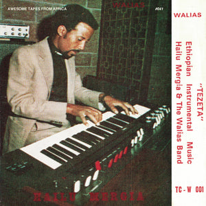 Hailu Mergia and the Walias Band – Tezeta vinyl