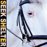 Iceage - Seek Shelter limited edition vinyl