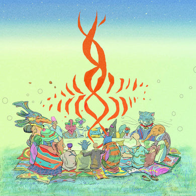 JAMES HOLDEN - IMAGINE THIS IS A HIGH DIMENSIONAL SPACE OF ALL POSSIBILITIES VINYL (2LP)