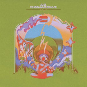 JOEL VANDROOGENBROECK - FAR VIEW VINYL (LP)