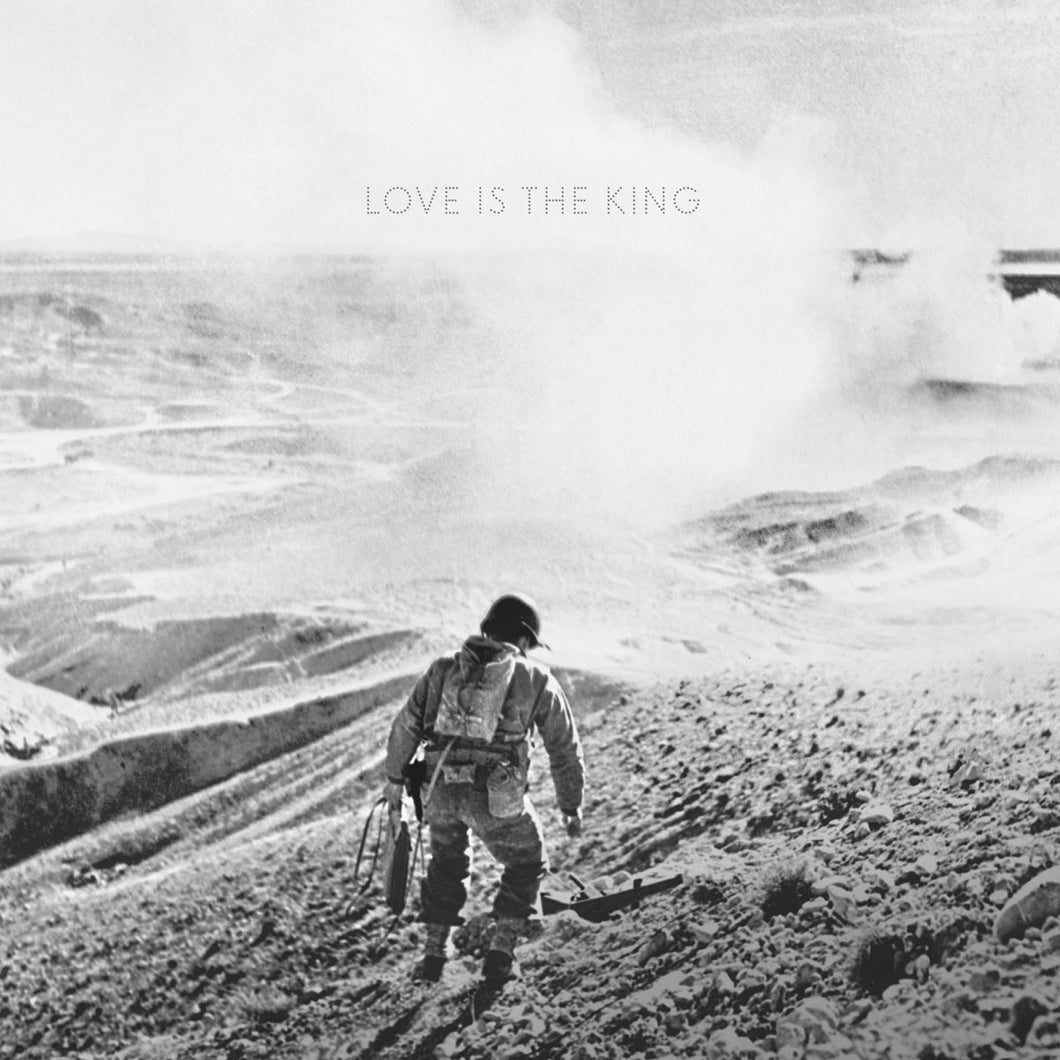 Jeff Tweedy – Love Is The King limited edition vinyl