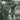 Jeff Parker - Suite for Max Brown vinyl