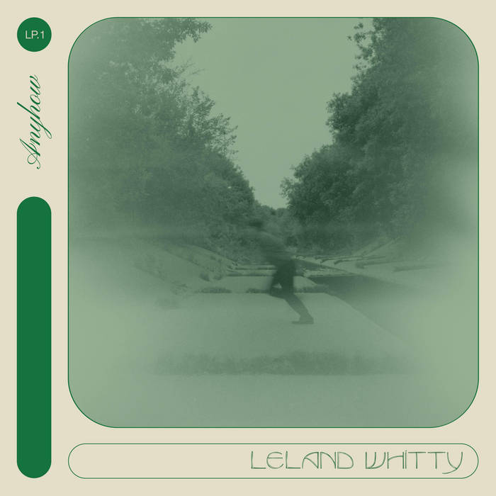 LELAND WHITTY - ANYHOW VINYL (LP)