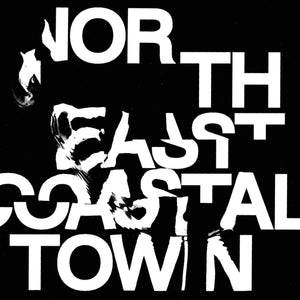 LIFE - NORTH EAST COASTAL TOWN VINYL (LTD. ED. PASTEL PINK)