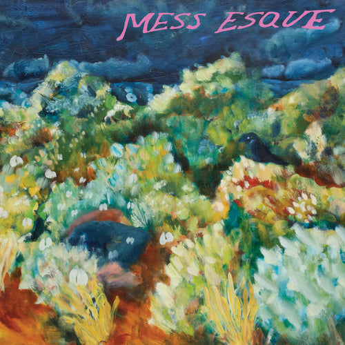 MESS ESQUE - MESS ESQUE VINYL (LP)