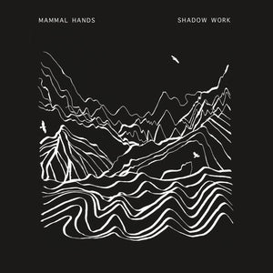 Mammal Hands - Shadow Work vinyl