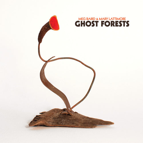 Meg Baird & Mary Lattimore - Ghost Forests limited edition vinyl