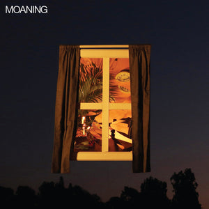 moaning moaning limited edition vinyl