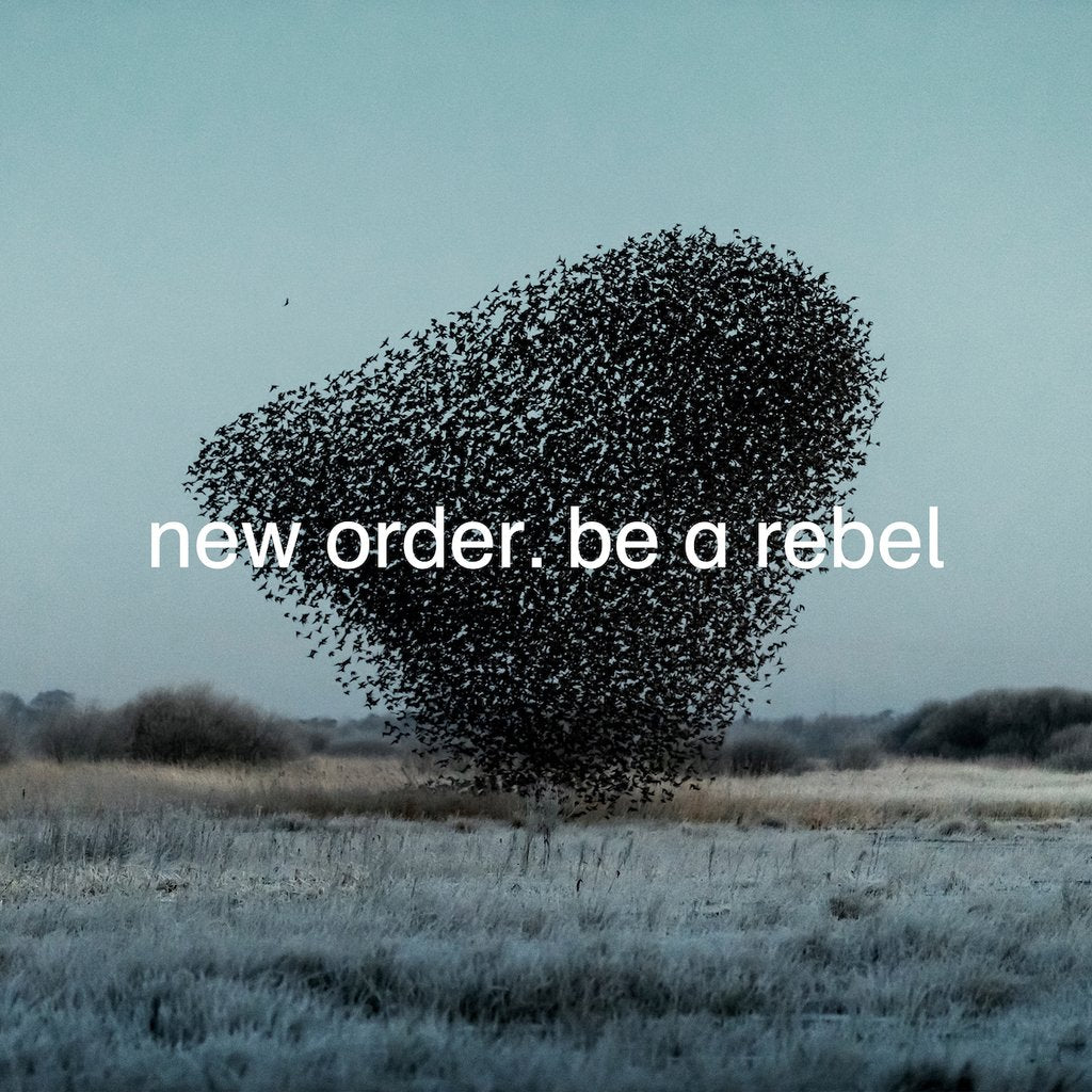 New Order - Be a Rebel limited edition vinyl