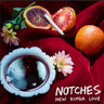 Notches - New Kinda Love vinyl