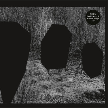 Noun (Daniel Avery & Roman Flugel) - Meeting Of The Minds vinyl