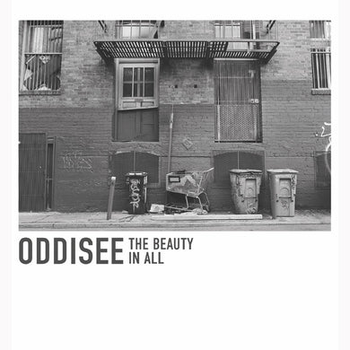 ODDISEE - THE BEAUTY IN ALL VINYL (LTD. ED. VARIANTS)