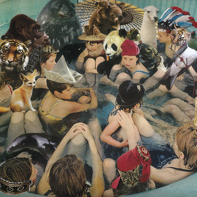 PANDA BEAR - PERSON PITCH VINYL RE-ISSUE (2LP GATEFOLD)