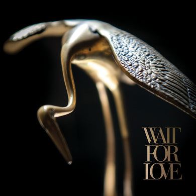 PIANOS BECOME THE TEETH - WAIT FOR LOVE VINYL RE-PRESS (LTD. ED. CLEAR & BLACK GALAXY)