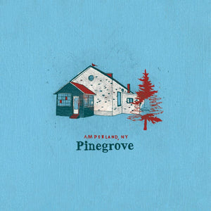 Pinegrove - Amperland, NY vinyl