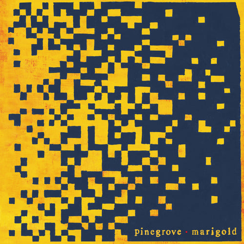 Pinegrove - Marigold limited edition vinyl