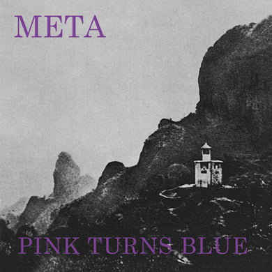 Pink Turns Blue - Meta limited edition vinyl