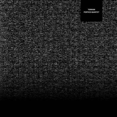 Portico Quartet – Terrain vinyl