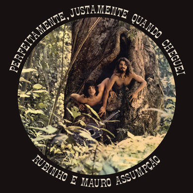 RUBINHO E MAURO ASSUMPÇÃO - PERFEITAMENTE, JUSTAMENTE QUANDO CHEGUEI VINYL RE-ISSUE (LP)