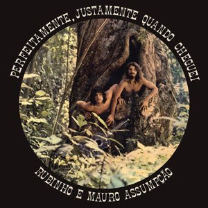 RUBINHO E MAURO ASSUMPÇÃO - PERFEITAMENTE, JUSTAMENTE QUANDO CHEGUEI VINYL RE-ISSUE (LP)