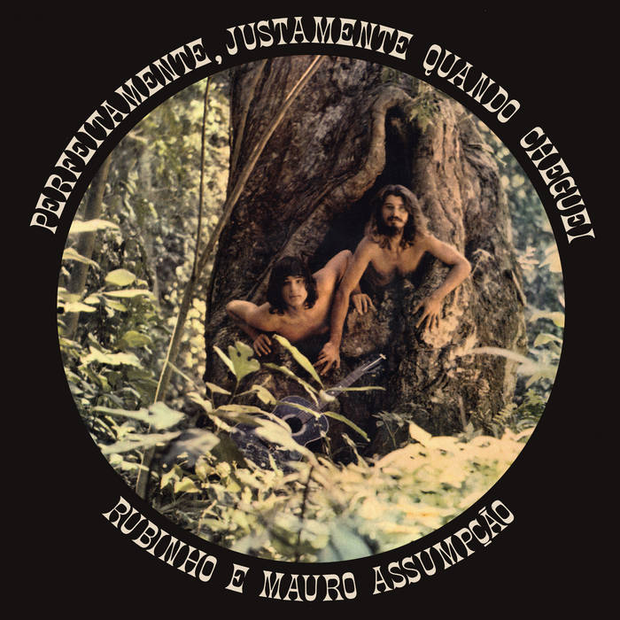 RUBINHO E MAURO ASSUMPÇÃO - PERFEITAMENTE, JUSTAMENTE QUANDO CHEGUEI VINYL RE-ISSUE (LP)