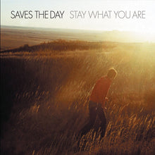 SAVES THE DAY - STAY WHAT YOU ARE VINYL RE-ISSUE (LTD. ED. COLOURED SPLATTER 2x10" GATEFOLD)