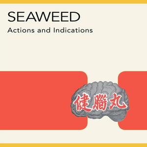 SEAWEED - ACTIONS AND INDICATIONS VINYL RE-ISSUE (LP)