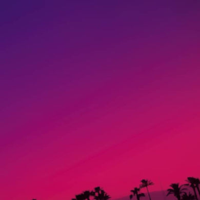 SWEET WILLIAMS - SWEET WILLIAMS VINYL (LTD. ED. LP + CD)