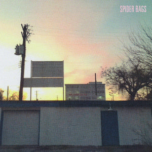 Spider Bags Someday Everything Will Be Fine vinyl