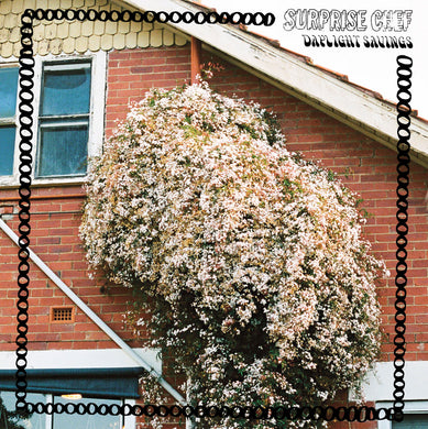 Suprise Chef - Daylight Savings limited edition vinyl