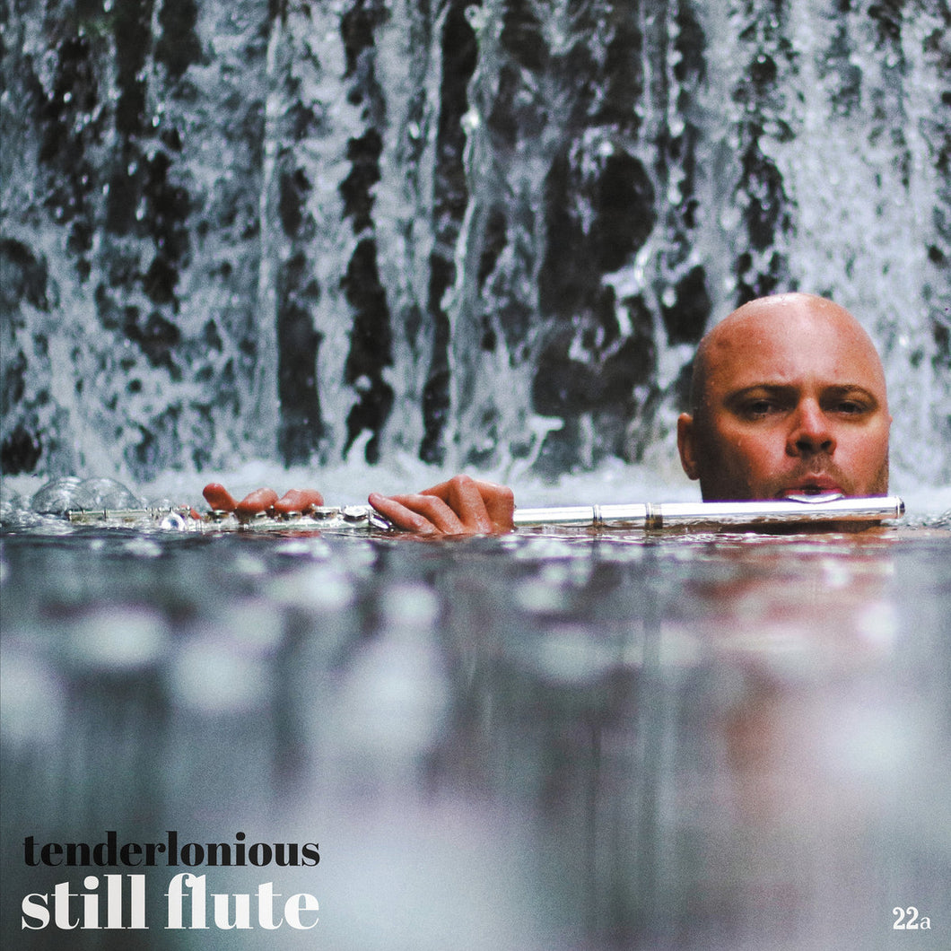 TENDERLONIOUS - STILL FLUTE VINYL (LP)