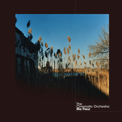 THE CINEMATIC ORCHESTRA - MA FLEUR VINYL (LTD. ED. CLEAR 2LP GATEFOLD W/ BONUS TRACKS)