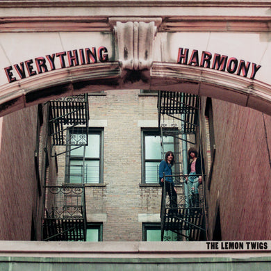 THE LEMON TWIGS - EVERYTHING HARMONY VINYL (LTD. ED. CLEAR)