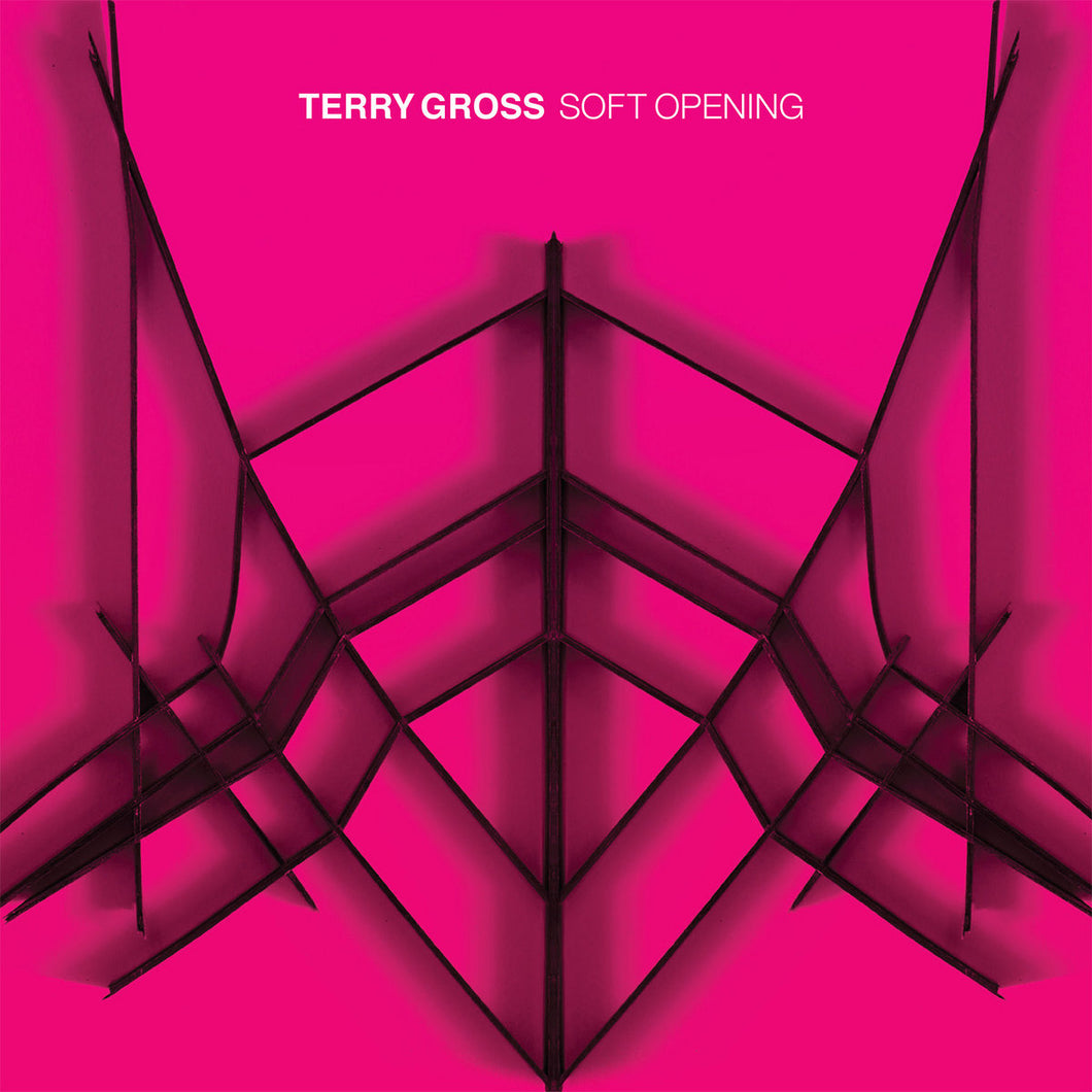Terry Gross - Soft Opening limited edition vinyl