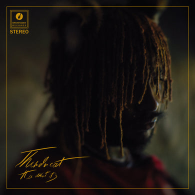 Thundercat - It Is What It Is limited edition vinyl