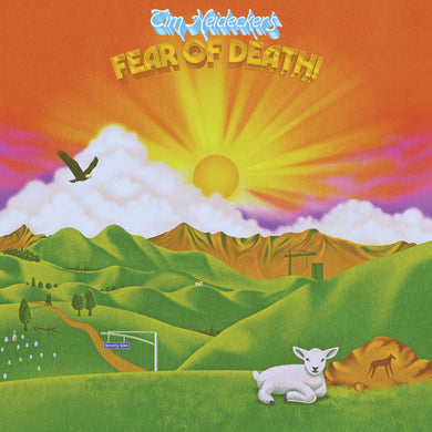 Tim Heidecker - Fear of Death vinyl