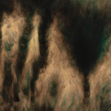 William Basinski – Lamentations vinyl