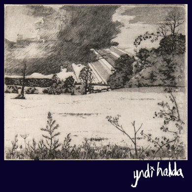 YNDI HALDA - ENJOY ETERNAL BLISS VINYL RE-ISSUE (2LP)