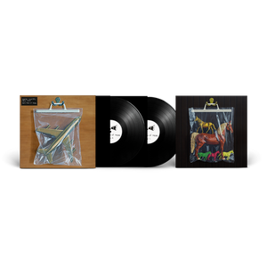 BLACK COUNTRY, NEW ROAD - ANTS FROM UP THERE VINYL (LTD. ED. VARIANTS)