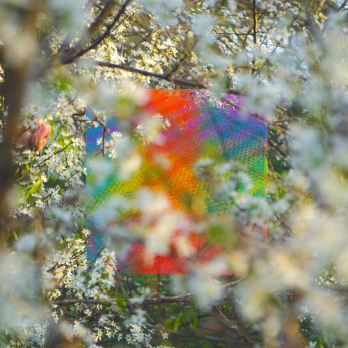 Four Tet - Teenage Birdsong vinyl