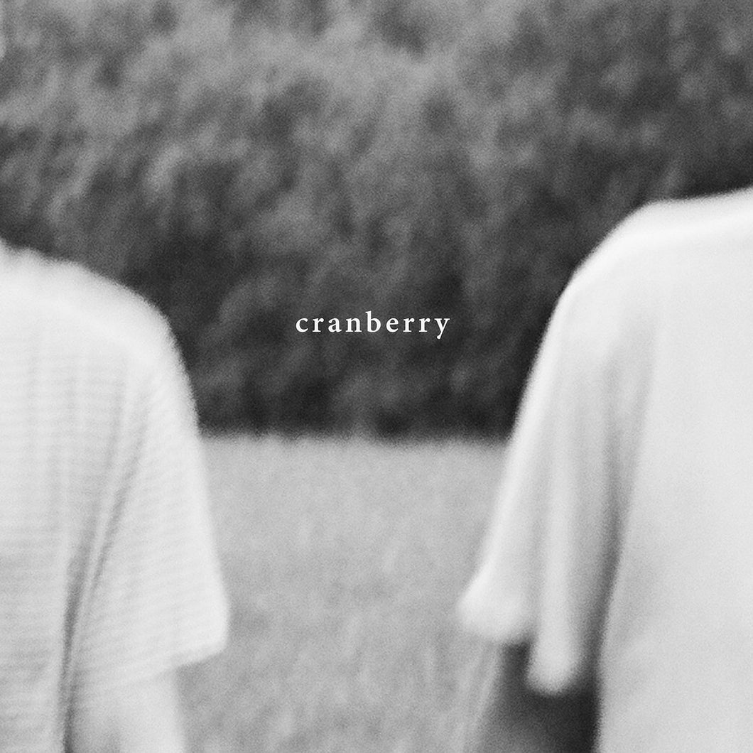 hovvdy cranberry limited edition vinyl
